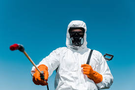 Best Termite Inspection and Treatment  in Northlake, IL